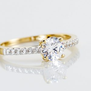 Maecenas varius maximus